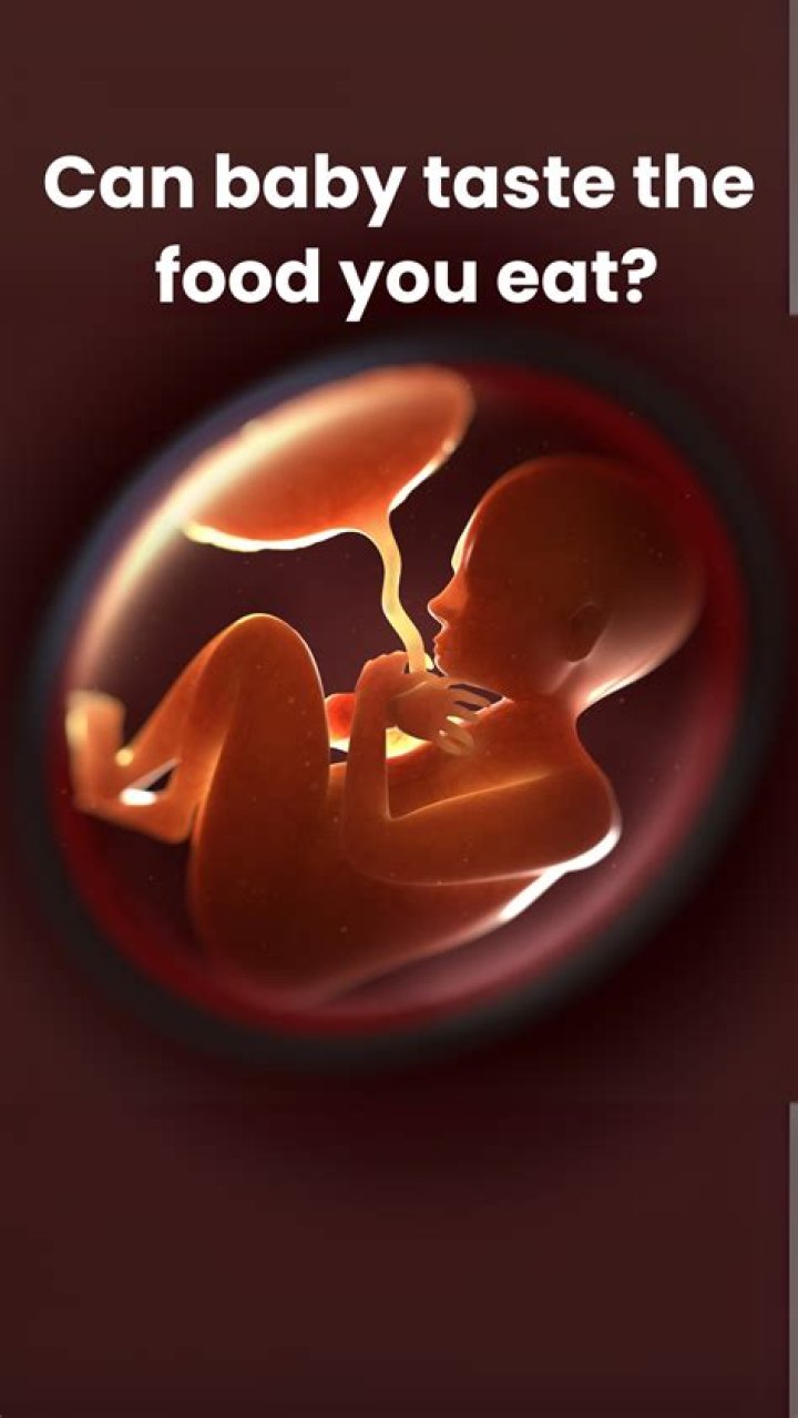When can the baby taste what you eat?