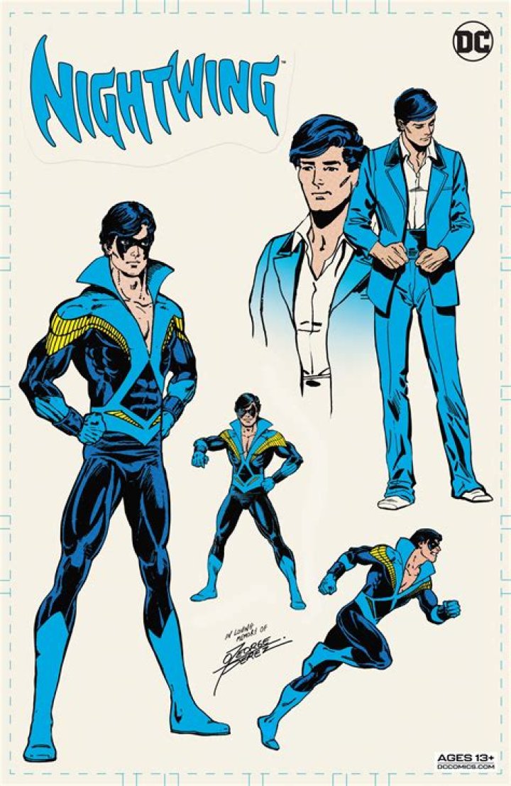 Who made Nightwings suit?