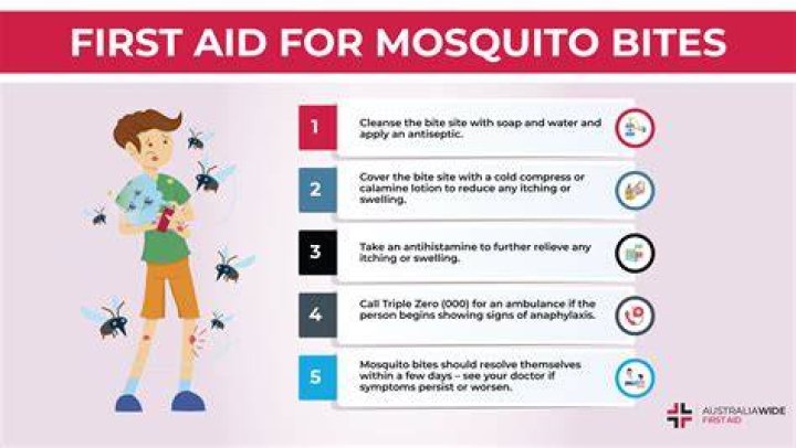 Why do mosquitoes bite beer drinkers?