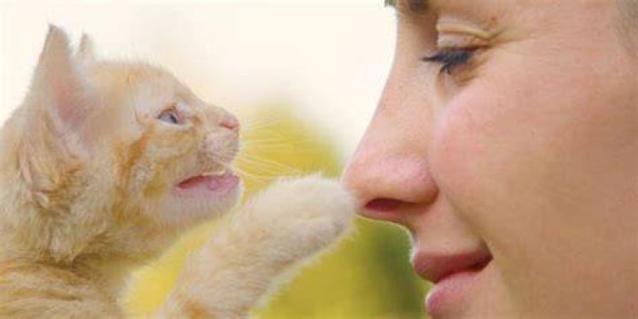 Why does my cat touch my face with her paw?