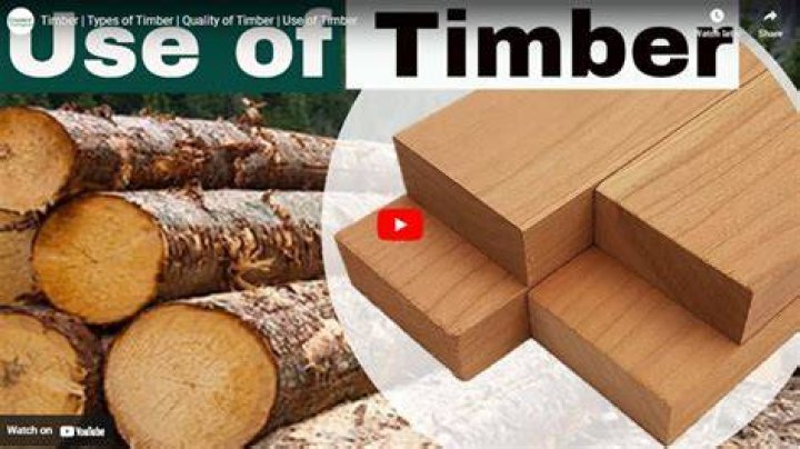 Why is timber called lumber?